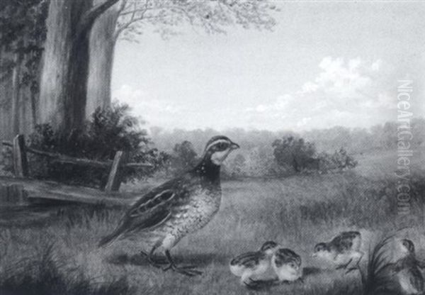 Quail With Young by George Henry Durrie