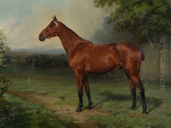 Study Of A Race Horse In A Field by Thomas Percy Earl