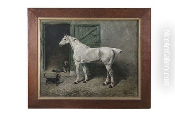 Portrait Of A Grey Cob by John Emms