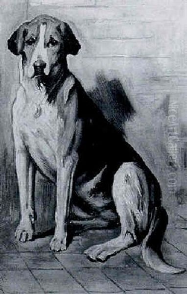 Portrait Of A Hound by John Emms