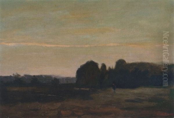 Abendstimmung Im Moor by Hans am Ende