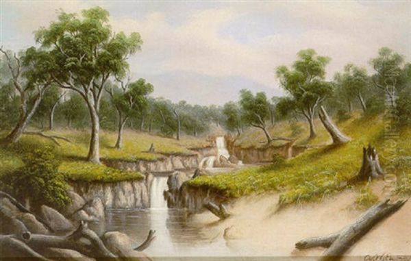 North Eastern Victoria by Alfred William Eustace