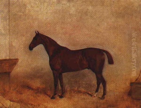 A Chestnut Hunter In A Loose Box by Claude Lorraine Ferneley