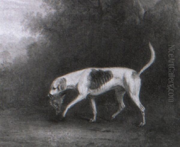 Portrait Of Rockwood, A Celebrated Hound Of His Grace The Duke Of Rutland by John E. Ferneley