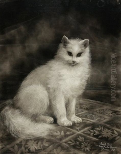 Weisse Katze by Jakob Henri Fischer-Hinnen