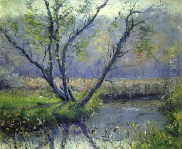 Spring Landscape With Stream by Alexis Jean Fournier