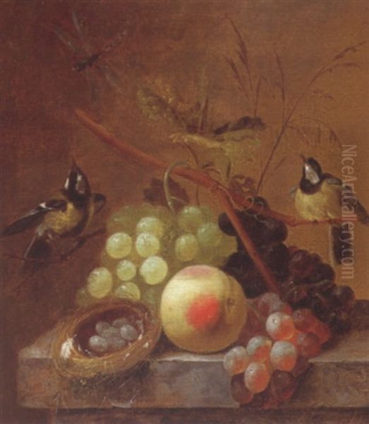 Still Life Of Grapes, A Peach And A Dragonfly, Together With Blue Tits And A Bird's Nest, Upon A Stone Ledge by Johannes Hendrik Fredriks