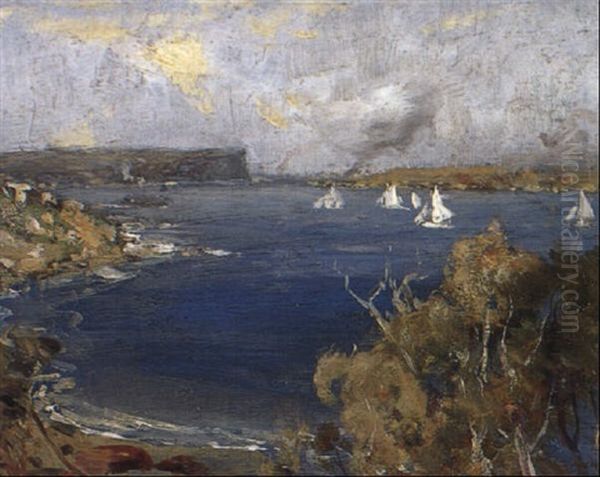 Sailing, Sydney Harbour by Albert Henry Fullwood