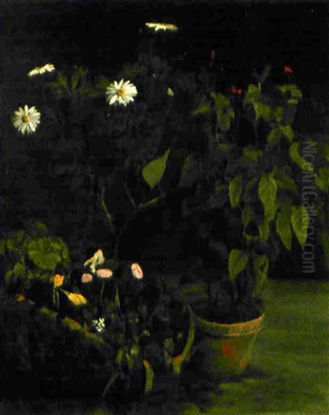 Plante En Pot, Marguerites Et Panier De Fleurs by Armand Desire Gautier