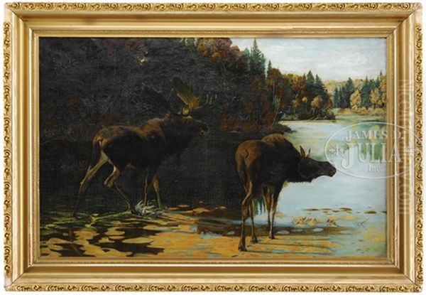 Moose In Maine Landscape by Philip Russell Goodwin