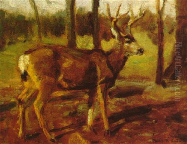 Whitetail Deer by Philip Russell Goodwin