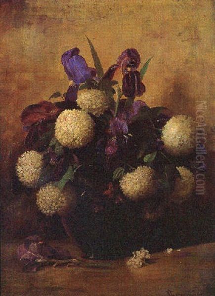 Still Life With Irises And Hydrangea by Richard La Barre Goodwin