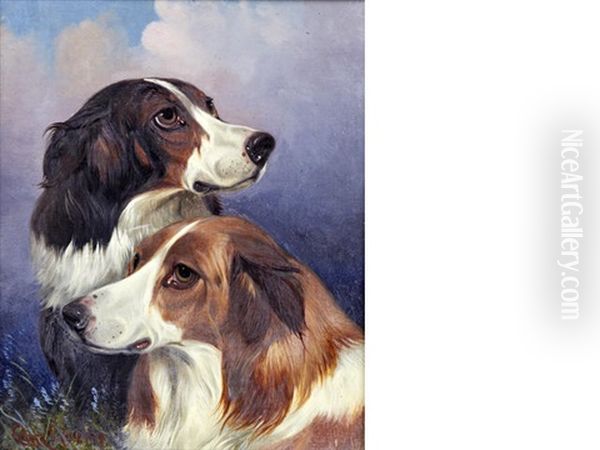 Heads Of Two Rough Collies by Colin Graeme