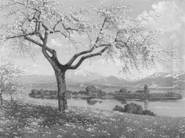 Kirschblute Am Chiemsee Mit Fraueninsel by Philipp Graf