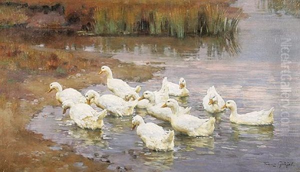 Enten Am Schilfbewachsenen Ufer by Franz Graessel