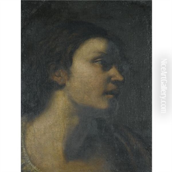 A Study Of A Head by  Guercino