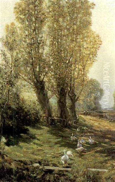 Geese By The Road by Frederick Hall