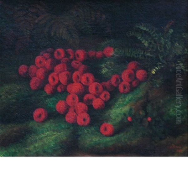 Raspberries by George Henry Hall