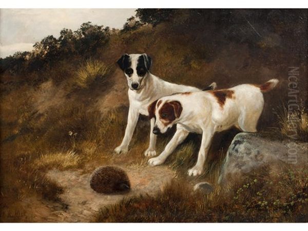 A Cautious Approach - Two Terriers And A Hedgehog by Henry Robinson Hall