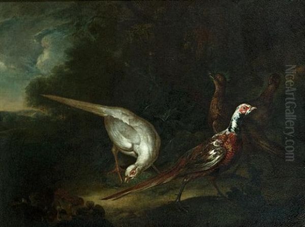 Pheasants In A Wooded Glade by Philipp Ferdinand de Hamilton