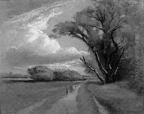 Willow Road, Sackville, N.b. by John A. Hammond