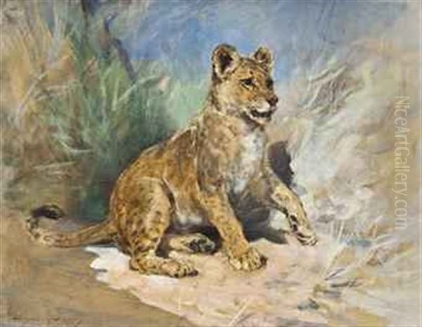 A Lion Cub by Heywood Hardy