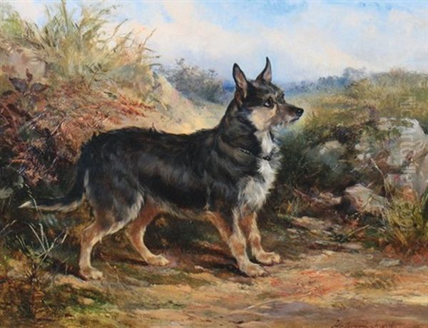 Terrier by Heywood Hardy