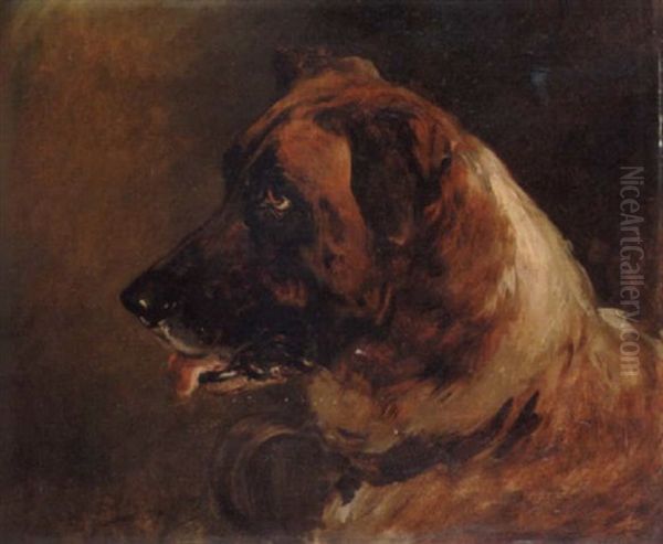 Study Of A Saint Bernard by Heywood Hardy