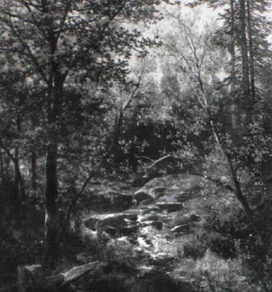 Wald Interieur Bei Hieflau by Carl Hasch