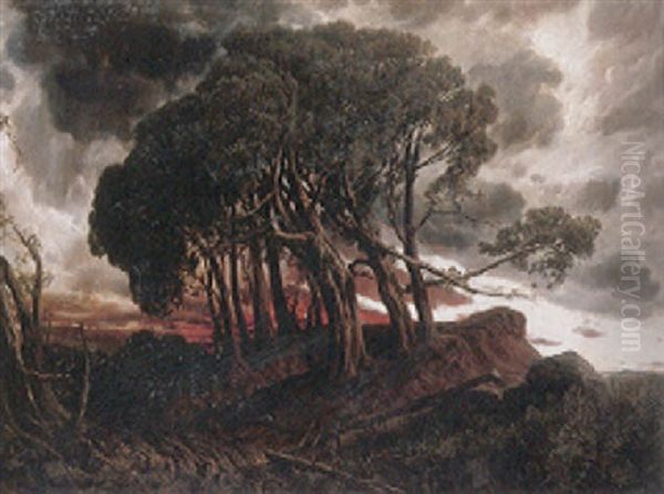 Prachtvoller Sonnenuntergang Mit Malerischer Baumgruppe by Josef Haunstetter