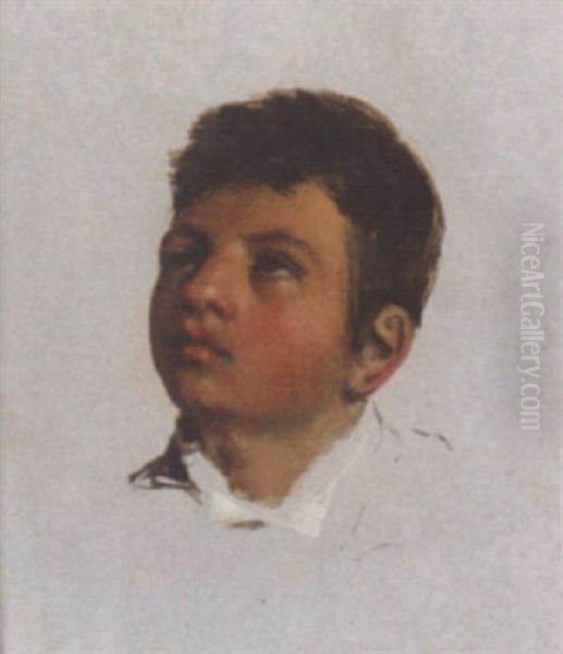 Portrait Of A Boy by James Hayllar