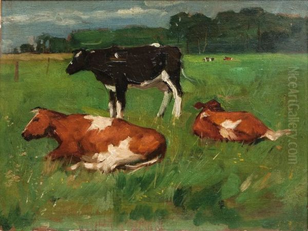 Cows On A Meadow by Thomas Herbst