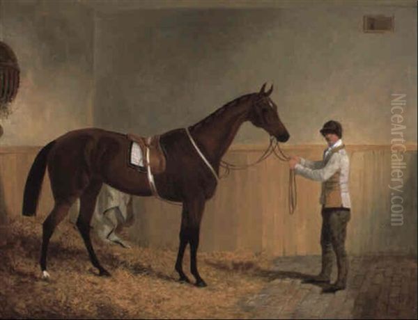 The Bay Racehorse Alice Hawthorn Held By A Groom In Her Stable by Benjamin Herring Sr.