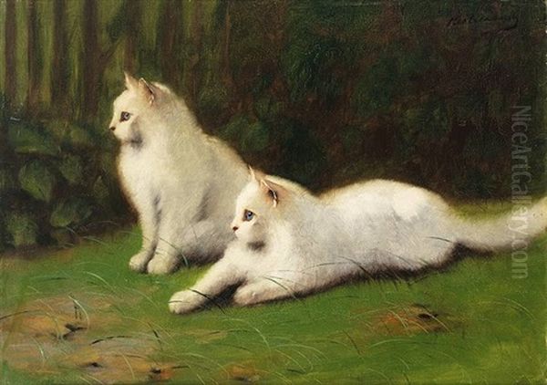 Zwei Weise Perserkatzen Auf Wiese by Arthur Heyer