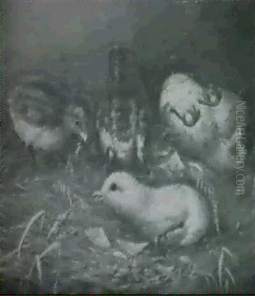 Chicks Hatching by Howard L. Hill