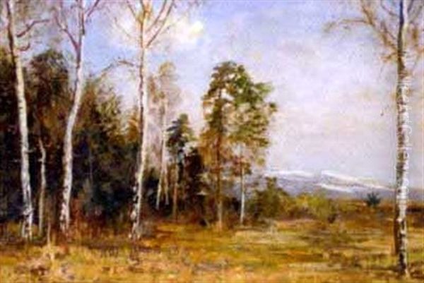 Salzburger Fruhlingslandschaft Mit Birken by Franz Hinterholzer