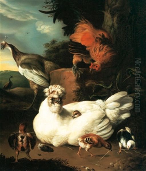 Huhner Und Pfauen In Einer Landschaft by Melchior de Hondecoeter