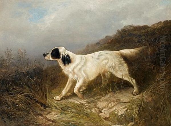 English Setter In A Landscape by George William Horlor