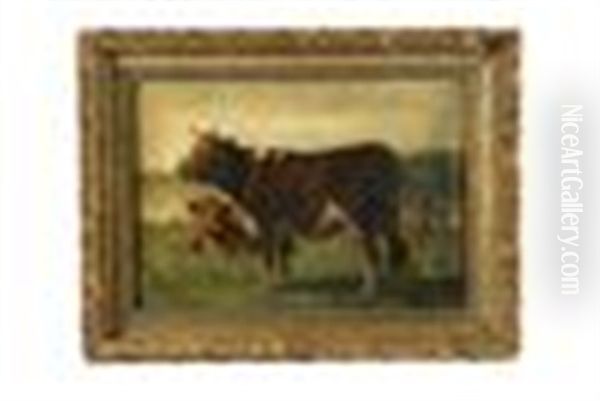 Cattle In A Field by William Henry Howe