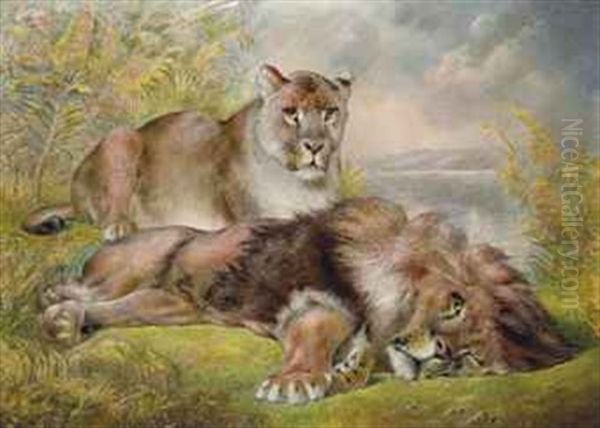 Resting Lions by William Huggins