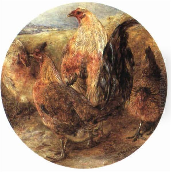 English Gamefowls by William Huggins