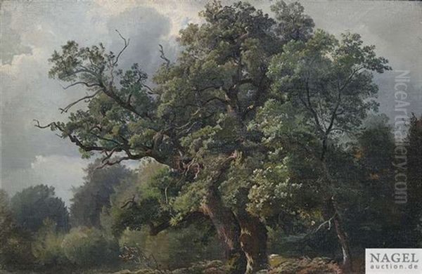 Bewaldete Landschaft Unter Bewolktem Himmel by Carl Maria Nicolaus Hummel