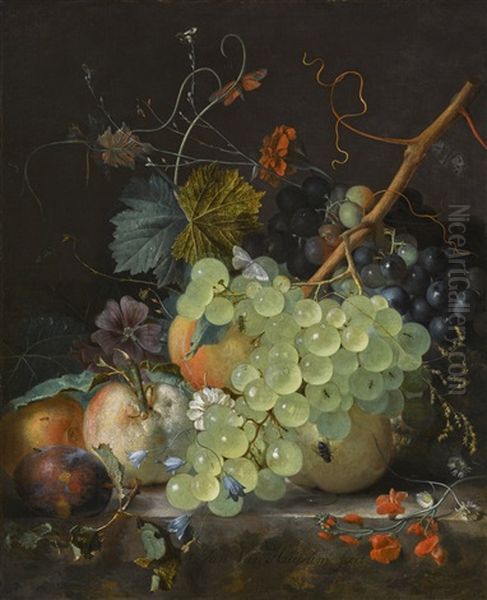 Still Life With Fruit On A Marble Ledge by Jan Van Huysum