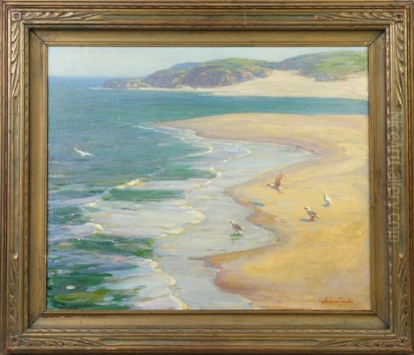 Seagulls On The Seashore by John J. Inglis