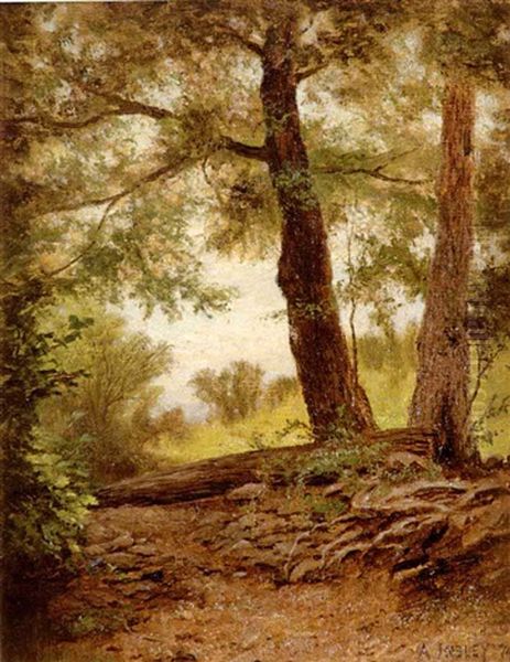 Pathway To The Highlands - Upper Hudson Valley by Albert Babb Insley