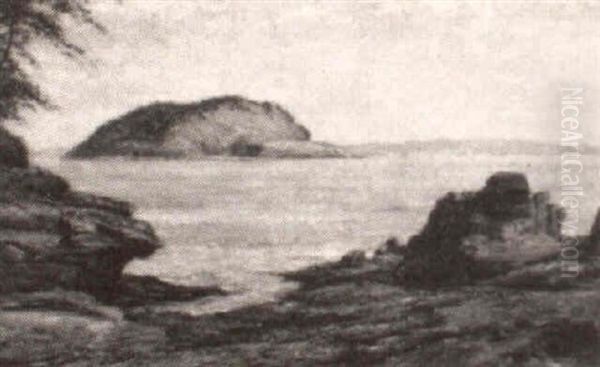 Porcupine Island, Off Bar Harbor by Albert Babb Insley