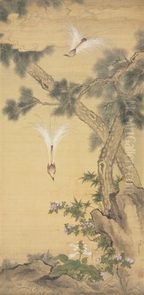 Birds Of Paradise And Pines by  Jiang Tingxi