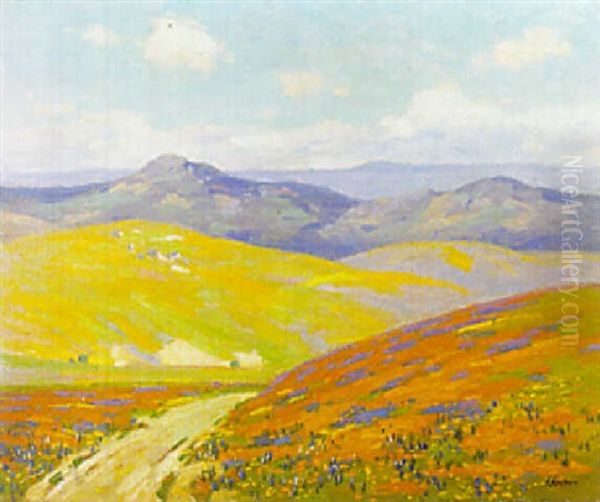 Springtime In Foothills Of The Tehachapi Mountains, California by Ferdinand Kaufmann