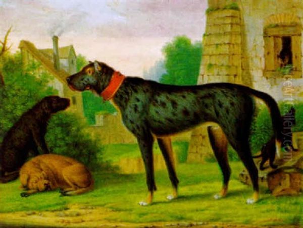 Vier Hunde Vor Dem Fenster Eines Alten Gebaudes, In Das Sich Eine Katze Gefluchtet Hat by Christian Wilhelm Karl Kehrer