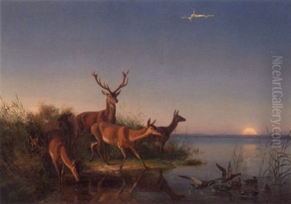 Hjorte Ved Vandingsstedet by Theodor Julius Kiellerup